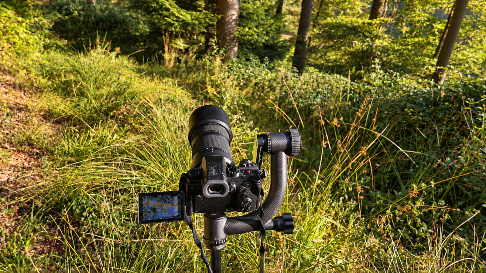 Camera during a calm nature recording for custom nature media
