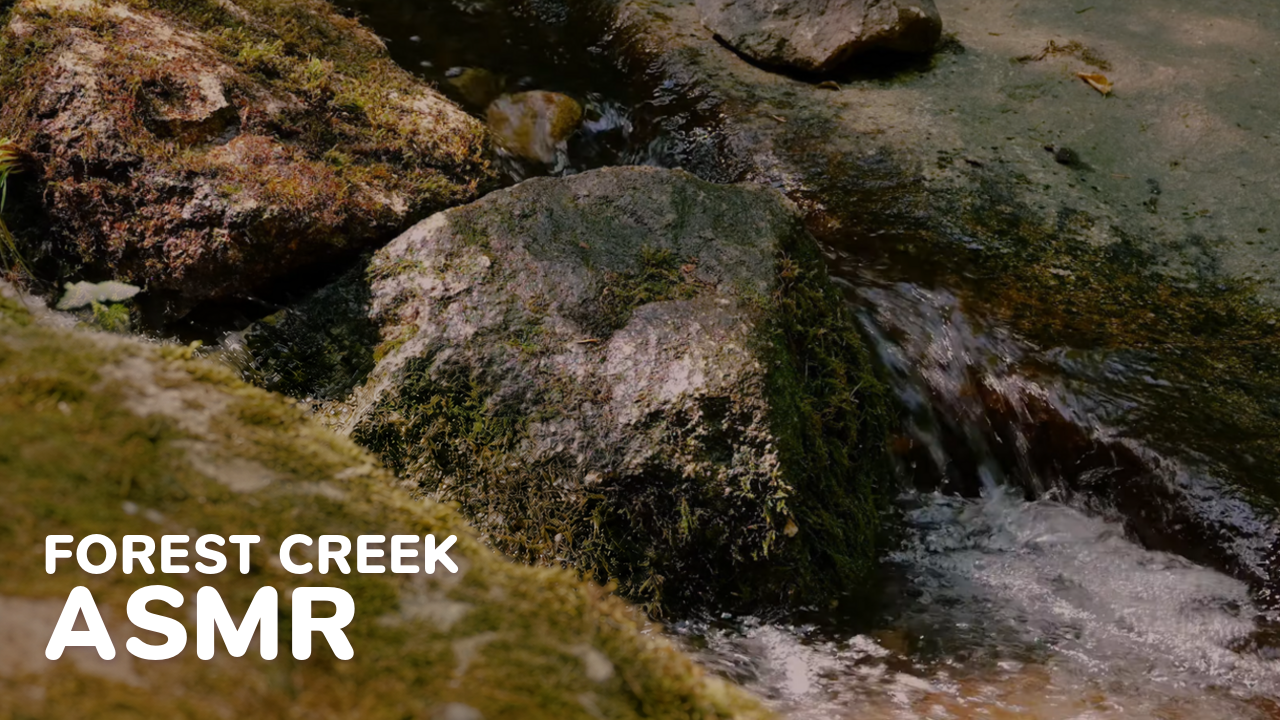 Preview image for the Black Forest Creek ASMR video