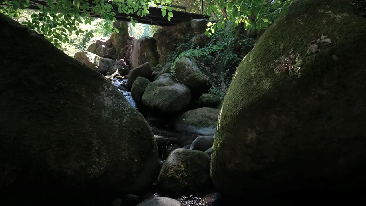 Narrow stream flowing between large moss-covered rocks